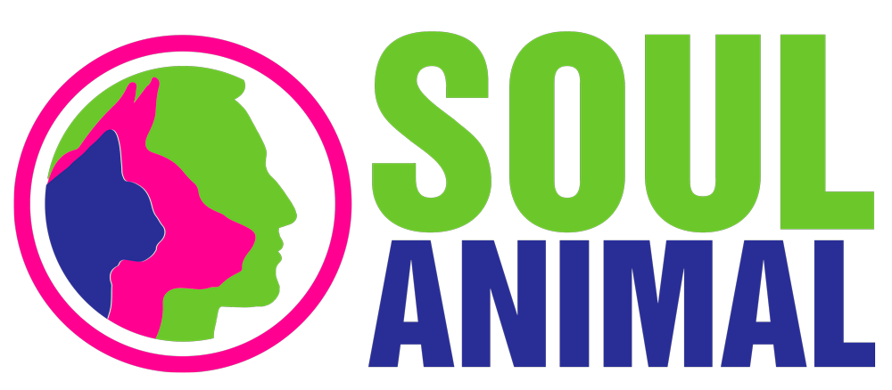 Ong Soul Animal