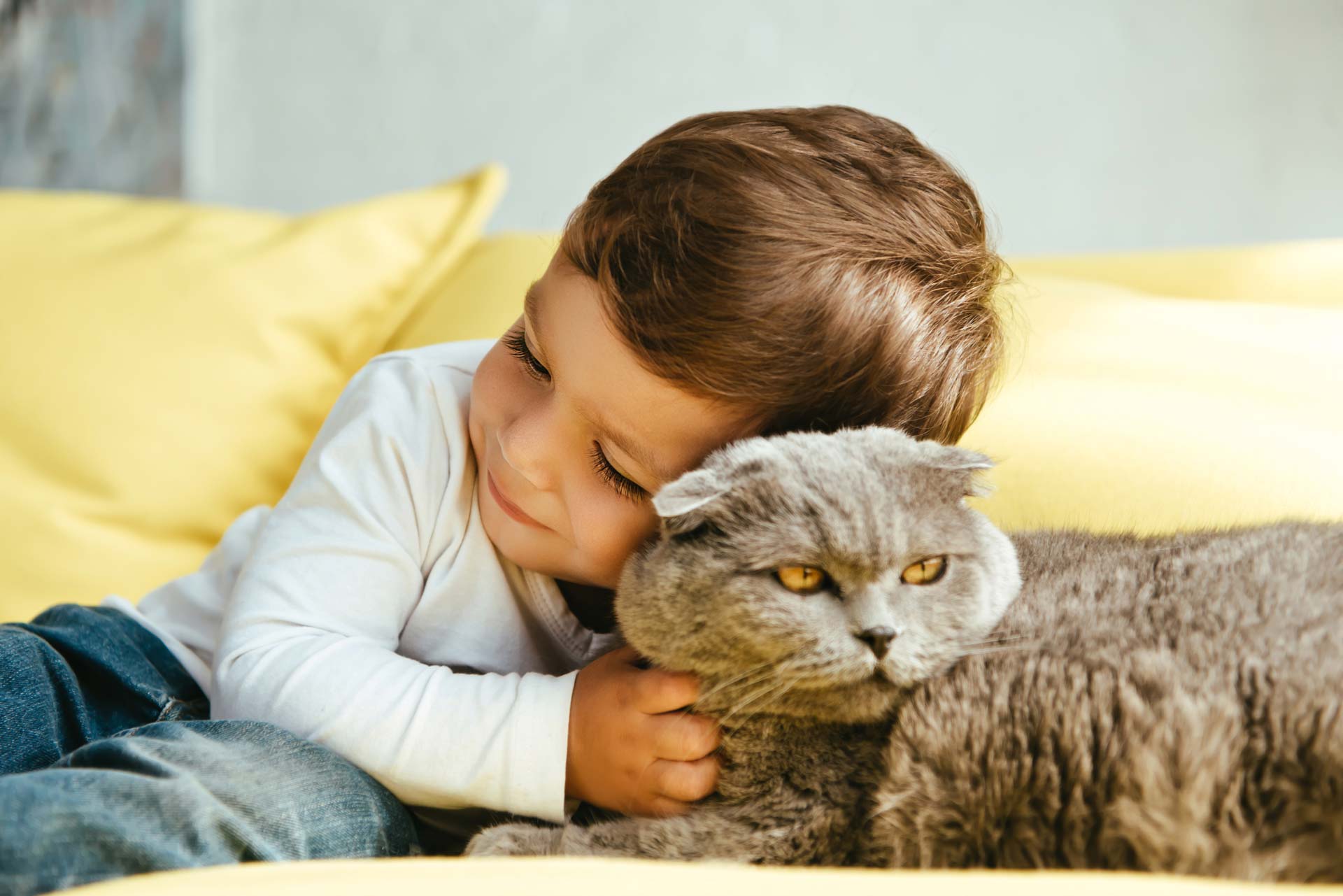 Desvendando o mistério das alergias a gatos: causas e soluções