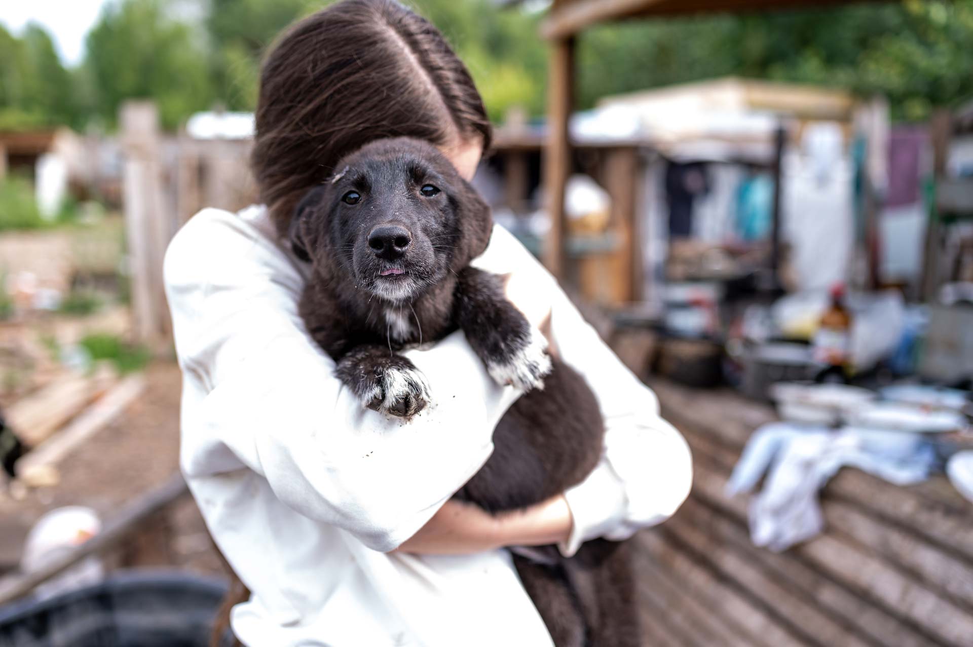 Histórias emocionantes de voluntários e dos animais que eles atendem